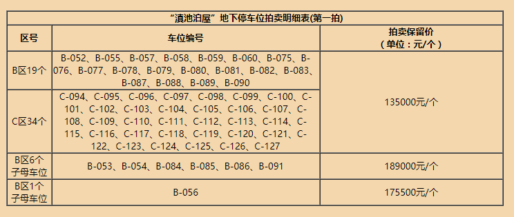 第一拍車(chē)位拍賣(mài)明細(xì)